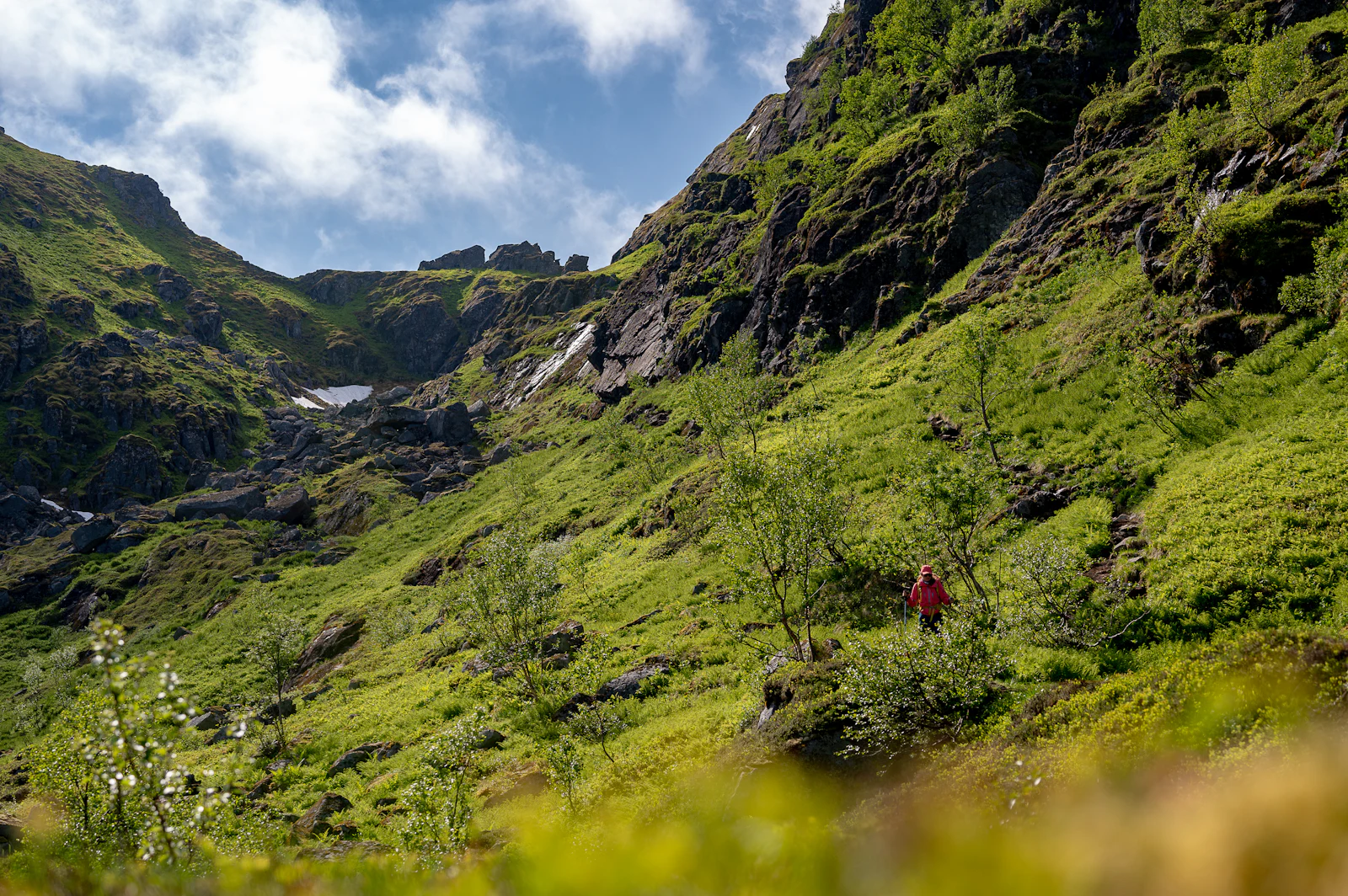 Hikers on a green mountainside at Tindstinden in Lofoten