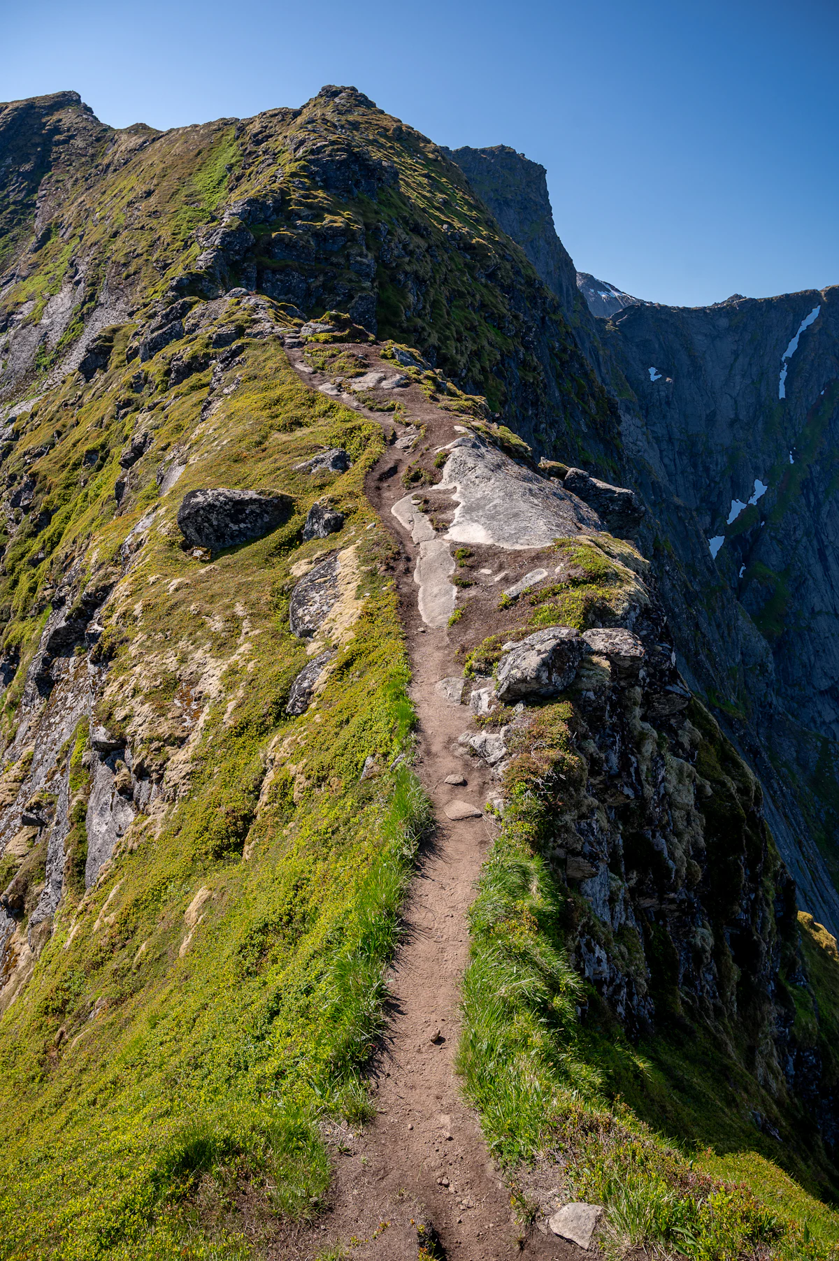En smal sti følger fjellryggen på Reinebringen i Lofoten